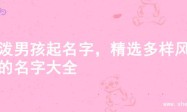 活泼男孩起名字，精选多样风格的名字大全