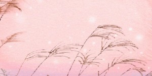 五行属金水最吉利的字女孩名字 取一些独特的词来命名