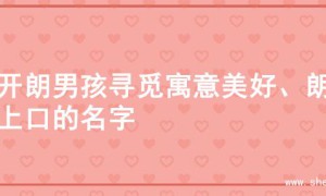 为开朗男孩寻觅寓意美好、朗朗上口的名字