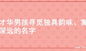 为才华男孩寻觅独具韵味、寓意深远的名字