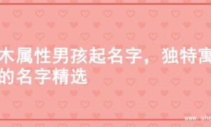 水木属性男孩起名字，独特寓意的名字精选