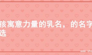 男孩寓意力量的乳名，的名字精选