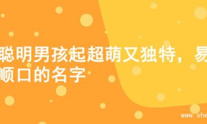 为聪明男孩起超萌又独特，易记顺口的名字