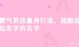 为霸气男孩量身打造，超酷超炫起名字的名字
