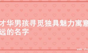 为才华男孩寻觅独具魅力寓意深远的名字
