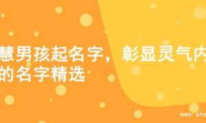 智慧男孩起名字，彰显灵气内涵的名字精选