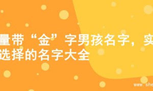 海量带“金”字男孩名字，实用选择的名字大全