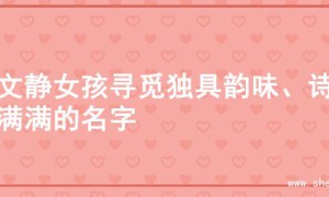 为文静女孩寻觅独具韵味、诗意满满的名字