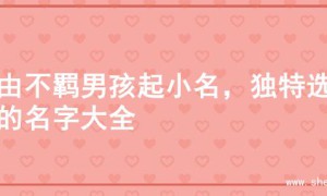自由不羁男孩起小名，独特选择的名字大全