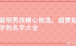为聪明男孩精心挑选，超赞起名字的名字大全