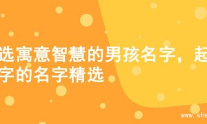 精选寓意智慧的男孩名字，起名字的名字精选