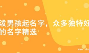 活泼男孩起名字，众多独特好名的名字精选