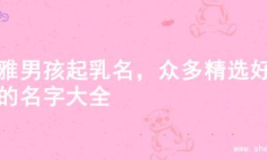 儒雅男孩起乳名，众多精选好听的名字大全
