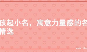 男孩起小名，寓意力量感的名字精选