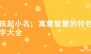 男孩起小名，寓意智慧的特色名字大全