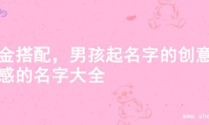 火金搭配，男孩起名字的创意灵感的名字大全