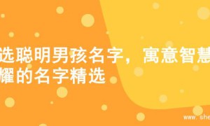 精选聪明男孩名字，寓意智慧闪耀的名字精选