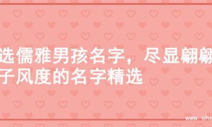 精选儒雅男孩名字，尽显翩翩公子风度的名字精选