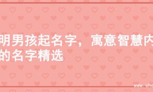 聪明男孩起名字，寓意智慧内涵的名字精选