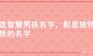 精选智慧男孩名字，彰显独特气质的名字