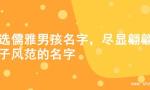 精选儒雅男孩名字，尽显翩翩公子风范的名字