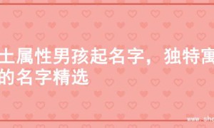 火土属性男孩起名字，独特寓意的名字精选