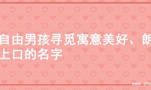 为自由男孩寻觅寓意美好、朗朗上口的名字