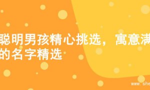 为聪明男孩精心挑选，寓意满满的名字精选