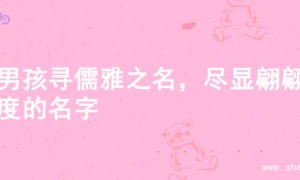 为男孩寻儒雅之名，尽显翩翩风度的名字