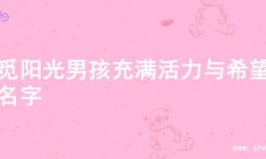 寻觅阳光男孩充满活力与希望的名字
