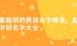 寓意聪明的男孩名字精选，起名字的名字大全