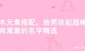 水木元素搭配，给男孩起超棒富有寓意的名字精选