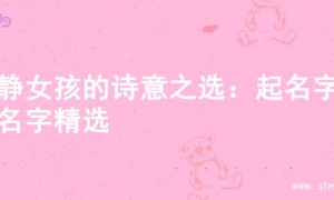 文静女孩的诗意之选：起名字的名字精选