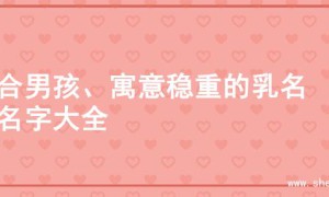 适合男孩、寓意稳重的乳名  的名字大全