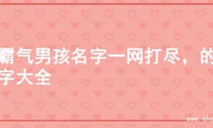 超霸气男孩名字一网打尽，的名字大全