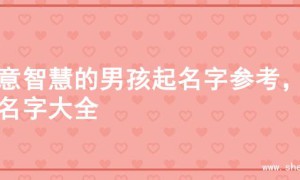 寓意智慧的男孩起名字参考，的名字大全