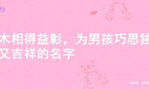 金木相得益彰，为男孩巧思独特又吉祥的名字