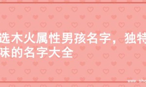 精选木火属性男孩名字，独特韵味的名字大全