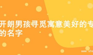 为开朗男孩寻觅寓意美好的专属的名字