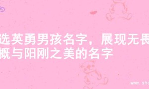 精选英勇男孩名字，展现无畏气概与阳刚之美的名字
