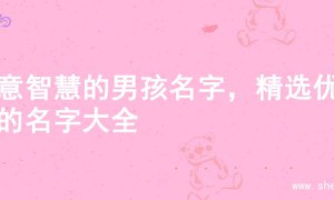 寓意智慧的男孩名字，精选优质的名字大全