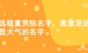 甄选稳重男孩名字，寓意深远彰显大气的名字