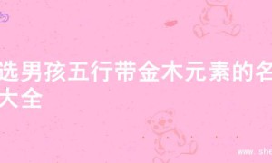 精选男孩五行带金木元素的名字大全