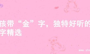 男孩带“金”字，独特好听的名字精选