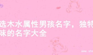 精选木水属性男孩名字，独特韵味的名字大全