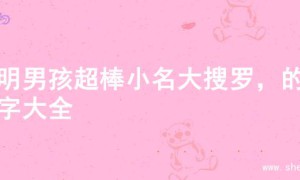 聪明男孩超棒小名大搜罗，的名字大全