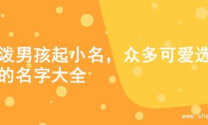 活泼男孩起小名，众多可爱选择的名字大全