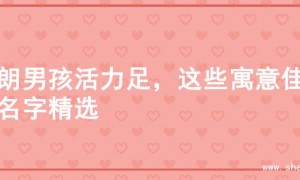 开朗男孩活力足，这些寓意佳的名字精选