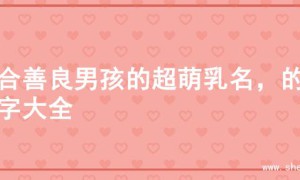 适合善良男孩的超萌乳名，的名字大全