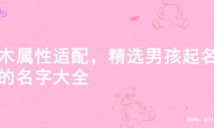 金木属性适配，精选男孩起名字的名字大全
